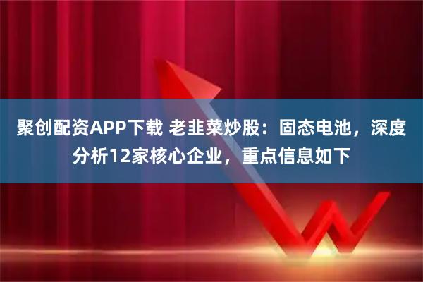 聚创配资APP下载 老韭菜炒股：固态电池，深度分析12家核心企业，重点信息如下
